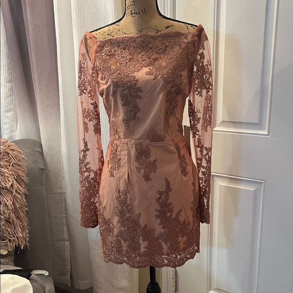 Tobi Long Sleeve Lace Dress in Blush